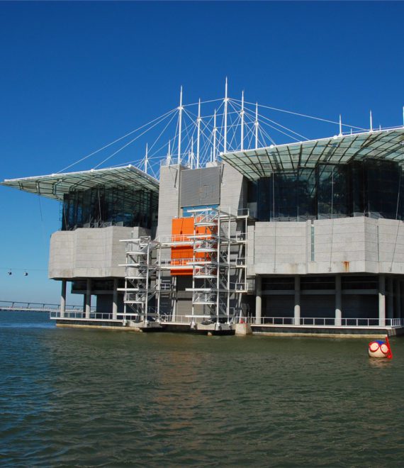 Oceanário de Lisboa - CambridgeSeven