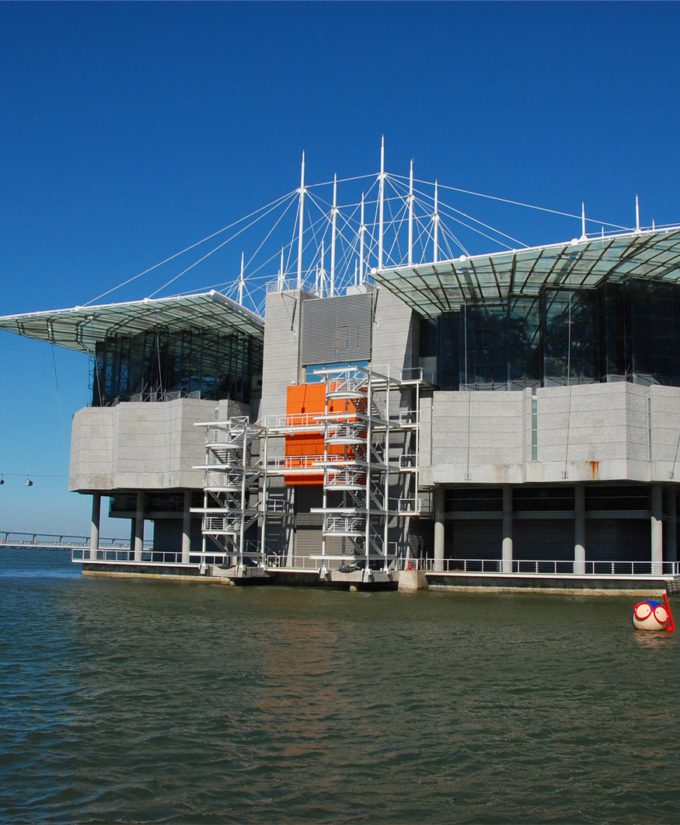 Oceanário de Lisboa - CambridgeSeven