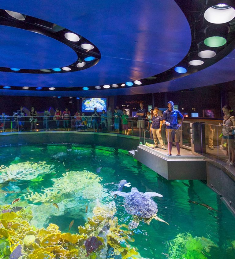 The Sustainable Aquarium Less is More CambridgeSeven