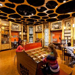 Discovery Place World Alive - CambridgeSeven