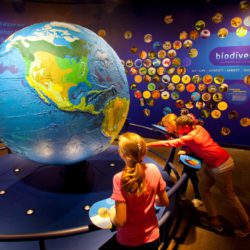 Discovery Place World Alive - CambridgeSeven