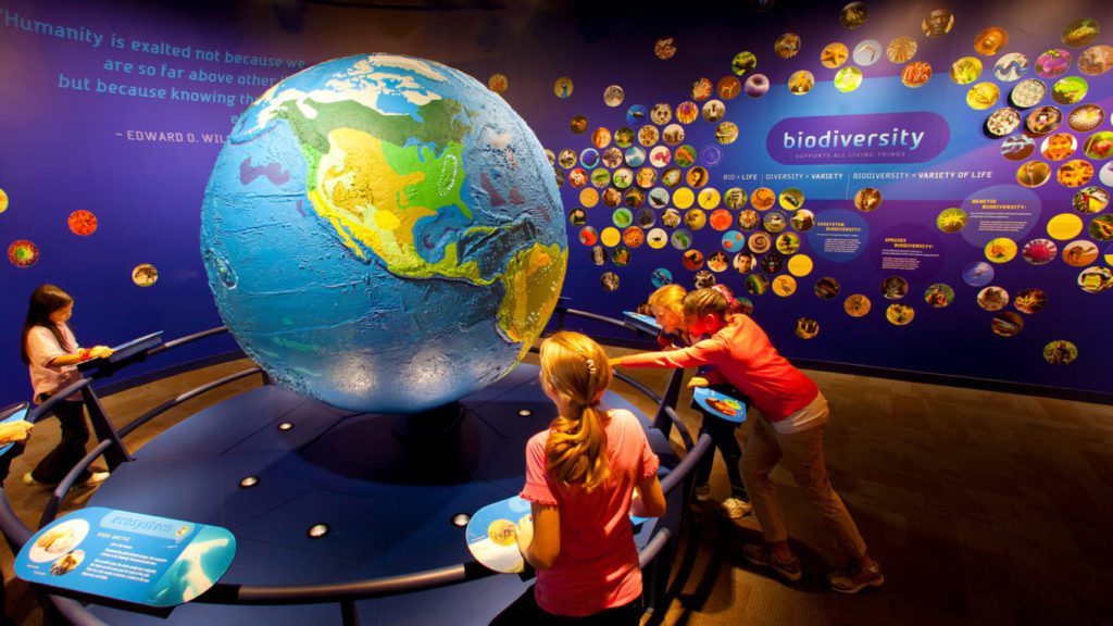 Discovery Place World Alive - CambridgeSeven