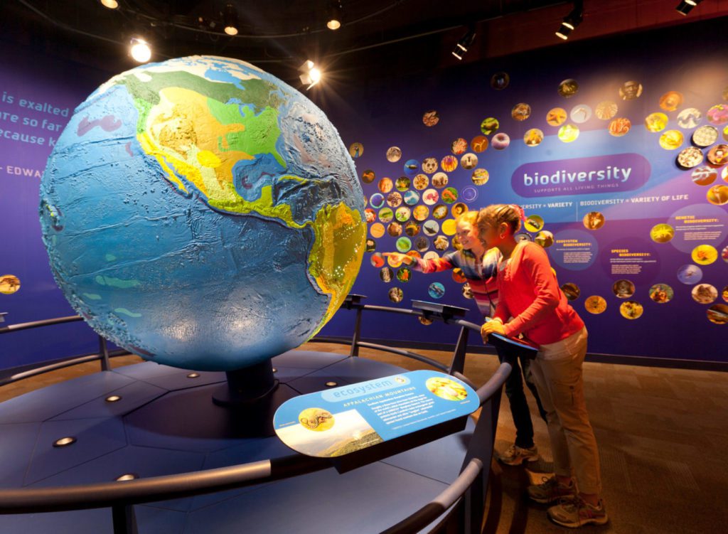 discovery place harry potter discovery place harry potter
