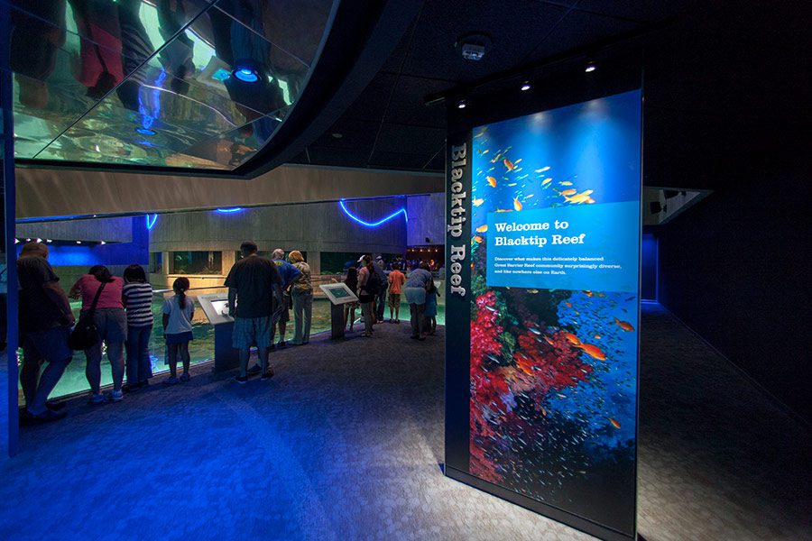 National Aquarium Baltimore Exhibit - CambridgeSeven