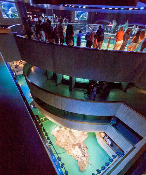 New England Aquarium Giant Tank - CambridgeSeven