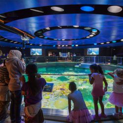 New England Aquarium Giant Tank - CambridgeSeven