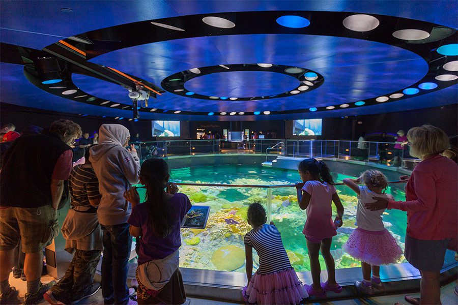 New England Aquarium Giant Tank - CambridgeSeven