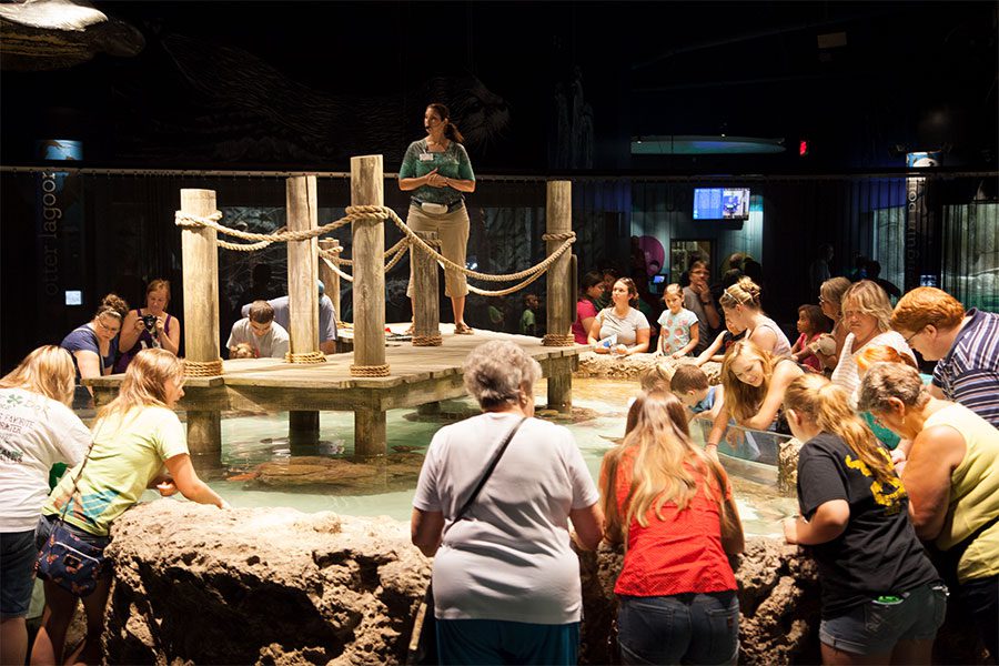 Greensboro Science Center Aquarium