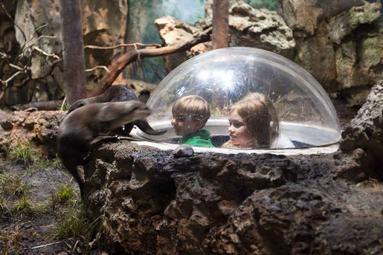 Greensboro Science Center Aquarium Design CambridgeSeven