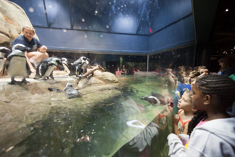 Greensboro Science Center Aquarium