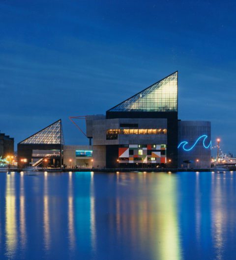 National Aquarium Architecture