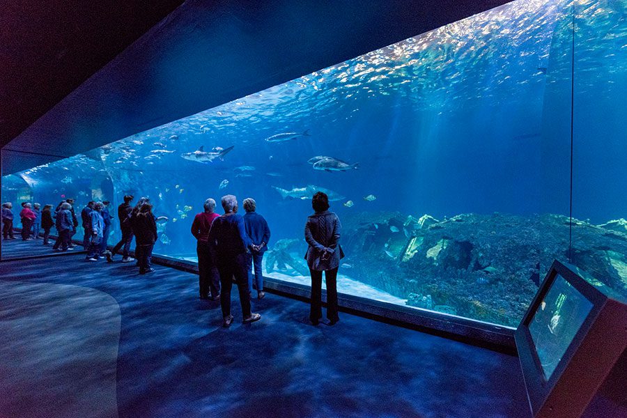 North Carolina Aquarium Roanoke renovation
