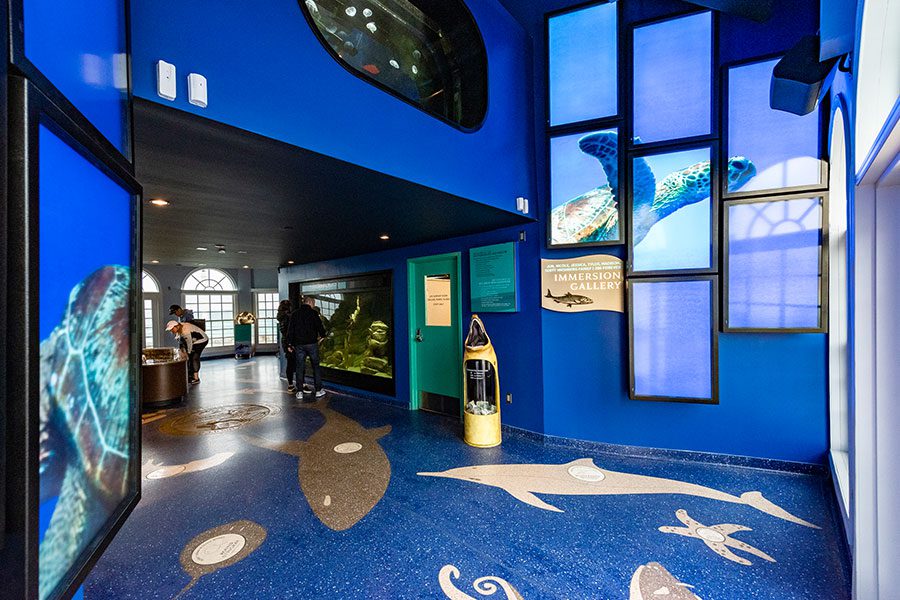 Roundhouse Aquarium - CambridgeSeven