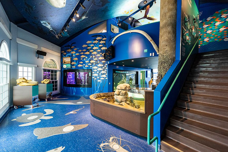 Roundhouse Aquarium - CambridgeSeven