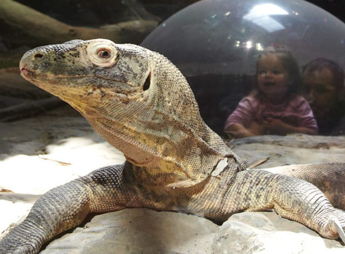 Virginia Aquarium Exhibit Design