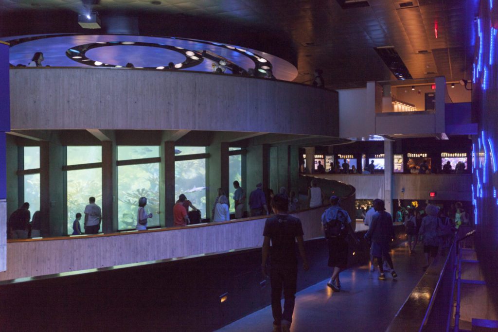 The New England Aquarium - CambridgeSeven