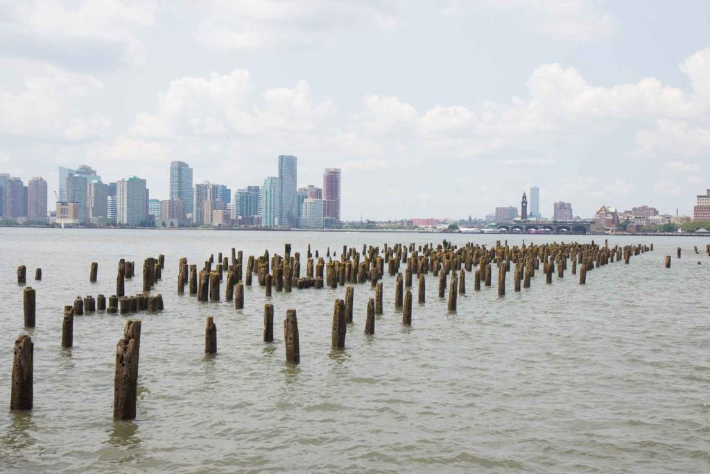 Photo of New York City and piles in the river, where the ocean and freshwater meet.