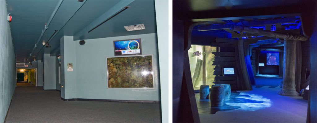 North Carolina Aquarium on Roanoke Island - CambridgeSeven