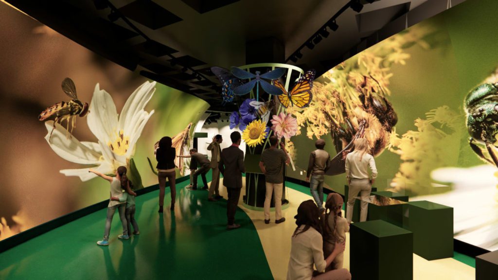 Audubon Insectarium - CambridgeSeven