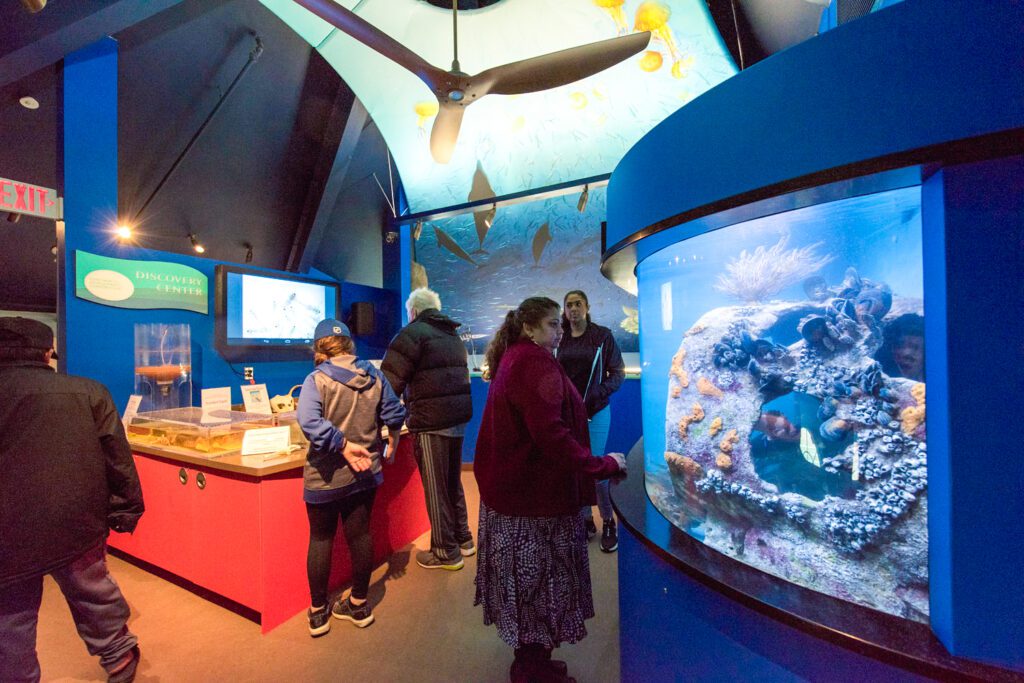 equitable-experiences-measures-for-diversity-and-inclusion-in-museums