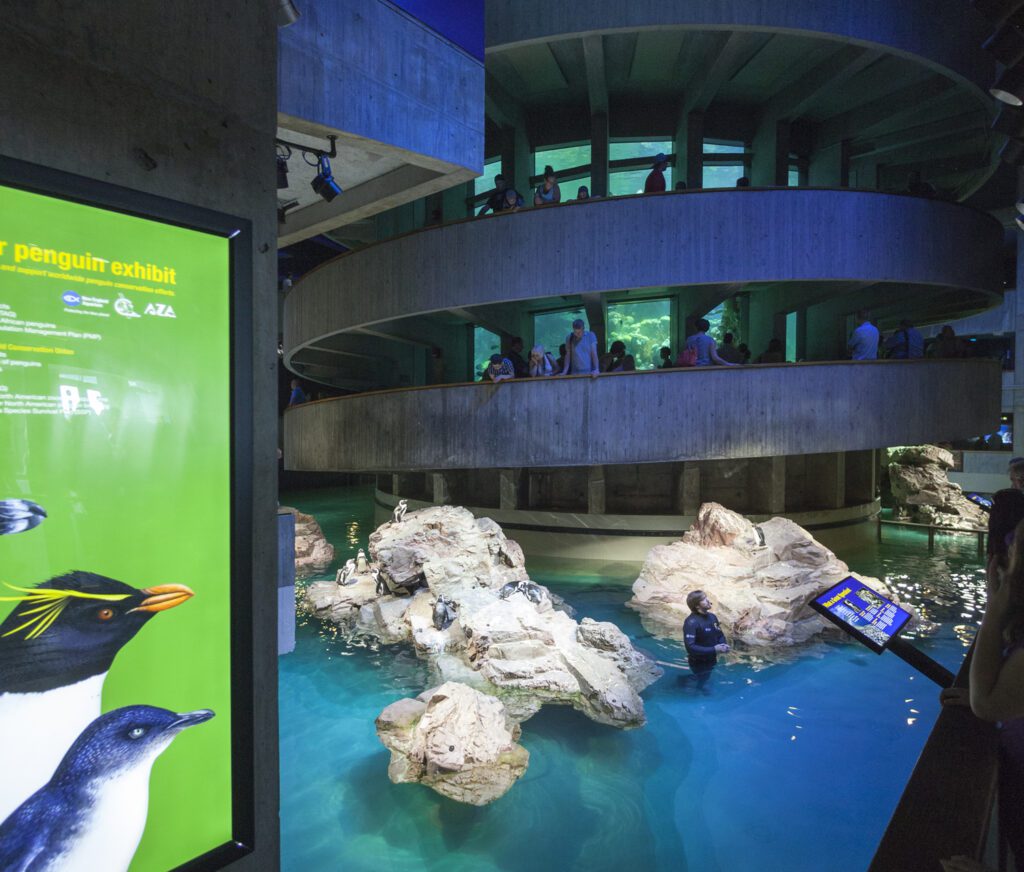The penguin exhibit and Giant Ocean Tank at the New England Aquarium