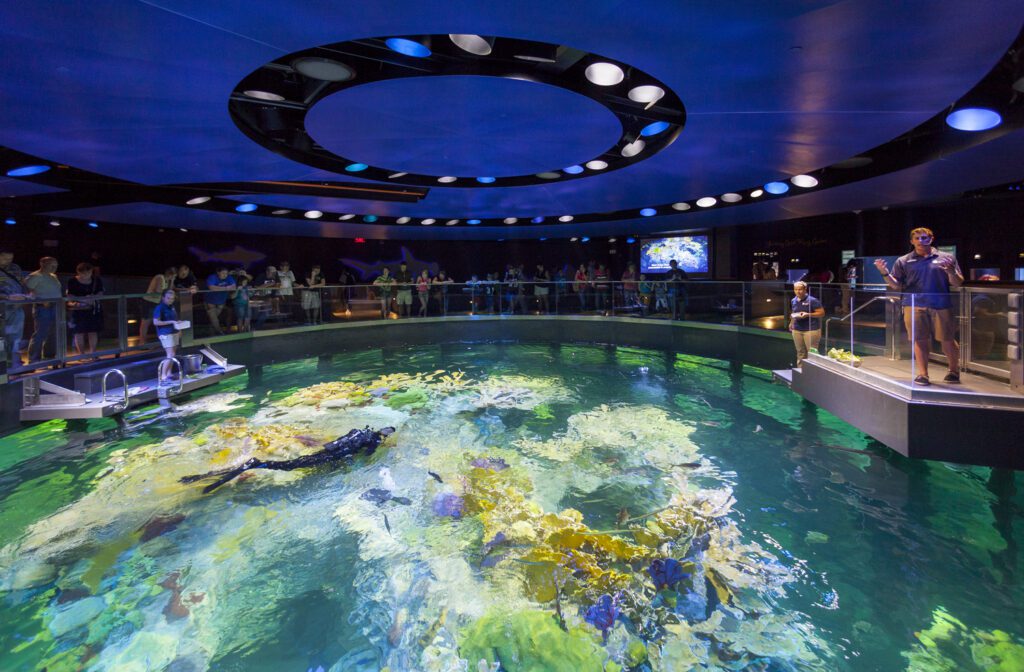 The Giant Ocean Tank at the New England Aquarium upholds humane practices with marine life inside the habitat.
