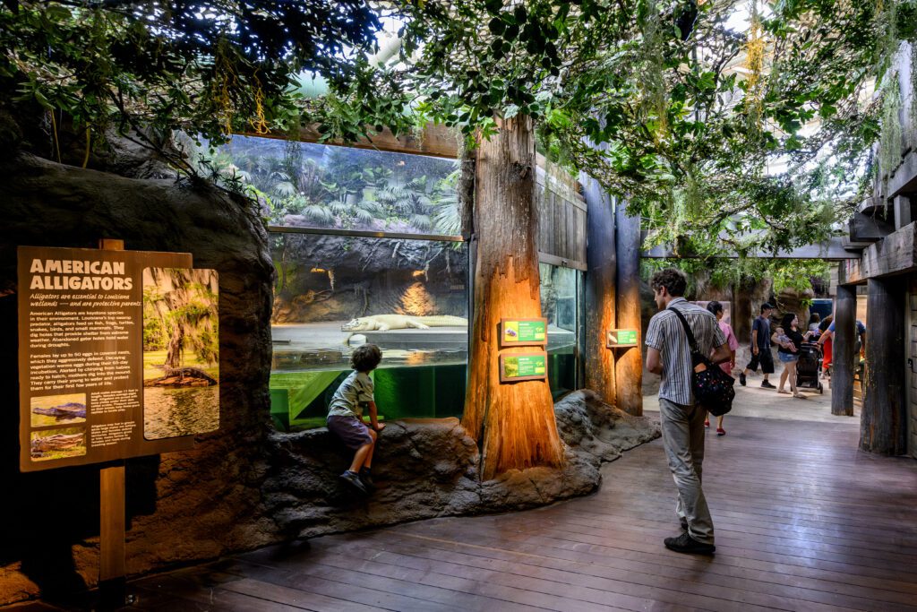 The "Down the Bayou” experience showcases an ecosystem that features unique habitats, wildlife and human communities.
