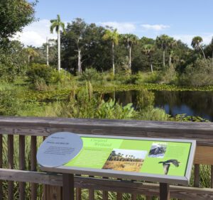 the nature center southwest florida - cambridgeseven