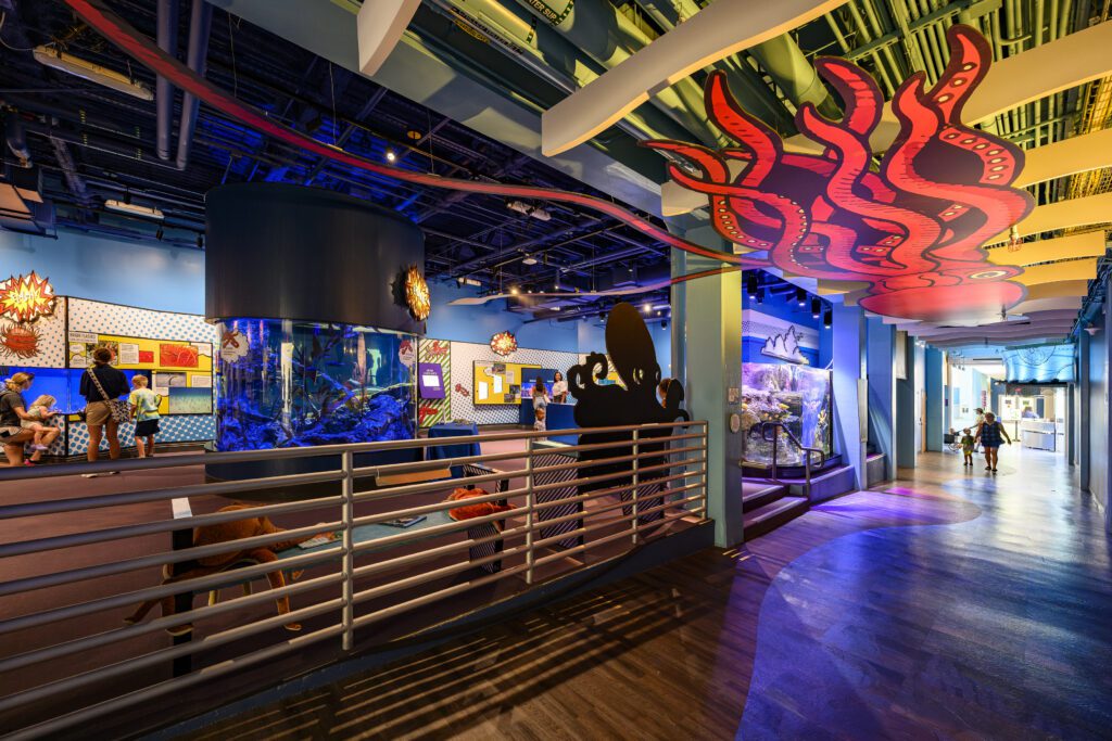 Bold colors and graphics make up new visitor experience at Virginia Aquarium's renovated South Building. 