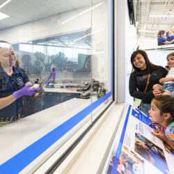 Virginia Aquarium CambridgeSeven Playful learning